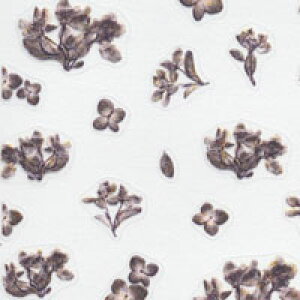 ySizcouponOzzzlCV[ t[ AeB[N ԕ Ԃт  ɂ Of[V pXe sN 菑 | WFlC lC lCpi WF V[ \邾