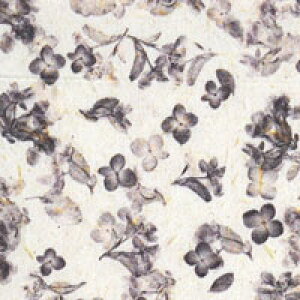 ySizcouponOzzzlCV[ t[ AeB[N ԕ Ԃт  ɂ Of[V pXe sN 菑 | WFlC lC lCpi WF V[ \邾