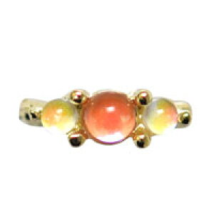 2 w V{ʃXg[ I[ RpNg~[WG[ @ NX^ lCA[g lCWG[ S[h WFlC ^p[c | lC p[c lCpi l