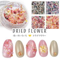 押し花 押花 ドライフラワー 春 お花 ハーバリウムアート が楽しめる フラワー お試しセットネイルパーツ…