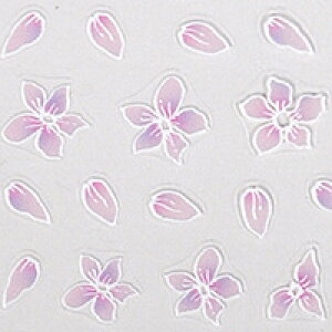 lCV[ t[ 3D    zCg sN Of[V | WFlC lCV[ lC lCpi WF V[ fRpi \邾 WFlCV[ lCA[