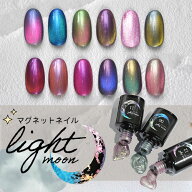 【全品半額coupon事前配布中】マグネットネイル 偏光マグネット カラーマグネット マグネット キャッツア…