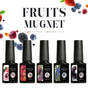 F }OlbglC t[c}Olbg t[c̉ʏ`̂悤ȓӂ uFruitMagnetv J[WF WFlC NAJ[ J[ |bV lCWF A[gWF