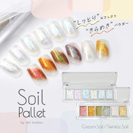 【全品半額coupon事前配布中】Soil Pallet しっとりエフェクトきらめきパウダー ミラーパウダーペンのように割れ＆飛び散り知らず しっとりとした質感 オーロラパウダー うるうる パウダー ジェルネイル用品 カラーパウダー カラージェル カラー ミラー ネイル工房