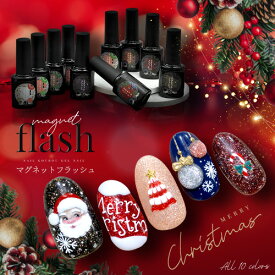 【全品半額coupon事前配布中】フラッシュ ＆ マグネット 驚きの透明感と輝き マグネットネイル フラッシュジェル カラージェル ジェルネイル クリアカラー ネイルジェル アートジェル ジェルネイル用品 爪 カラージェルネイル ネイル工房 にわちゃん