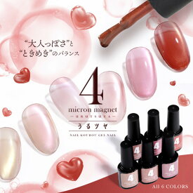 【全品半額coupon事前配布中】うるツヤ マグネットネイル 4micron カラージェル ジェルネイル 5micron 5ミクロン マグネットネイル クリアカラー アートジェル ジェルネイル用品 爪 ネイル工房 にわちゃん