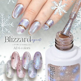 3/4販売開始【全品半額coupon事前配布中】 マグネットネイル 「blizzard」 幻想的に輝く マグネットパウダー と オーロラパウダー ハイブリットな輝き カラージェル ジェルネイル クリアカラー ネイルジェル カラージェルネイル ネイル工房 にわちゃん