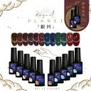 【全品半額coupon事前配布中】5ミクロンマグネット×フラッシュグリッター 銀河 マグネット マグネットネイル フラッ…