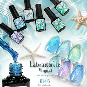 ySizcouponOzzzFɗh߂AsvcȐ }OlbglC uLabradorite Magnetv uhCg J[WF WFlC NAJ[ lCWF A[gWF WF