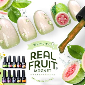 【全品半額coupon事前配布中】リアルフルーツマグネット マグネットネイル 「RealFruit Magnet」 カラージェル ジェルネイル クリアカラー ネイルジェル アートジェル ジェルネイル用品 爪 カラージェルネイル ネイル工房 にわちゃん