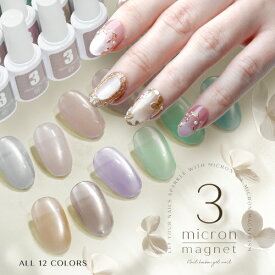 【全品半額coupon事前配布中】3micron 3ミクロン 超微粒 すぎて粒子がパールみたい マグネットネイル 5ミクロンを超える細かさ まるでパール カラージェル ジェルネイル クリアカラー アートジェル ジェルネイル用品 爪 ネイル工房 にわちゃん