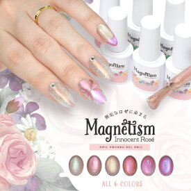 【全品半額coupon事前配布中】Magnetism マグニズム 5micron 5ミクロン マグネットネイル ピンク ベージュ に拘り カラージェル ジェルネイル クリアカラー アートジェル ジェルネイル用品 爪 ネイル工房 にわちゃん