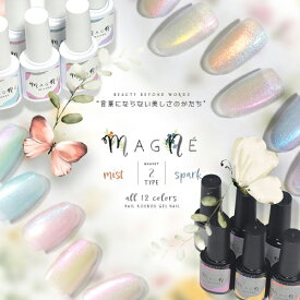 【全品半額coupon事前配布中】Magne マグネ カラージェル ジェルネイル ミスト スパーク 5micron 5ミクロン マグネットネイル クリアカラー アートジェル ジェルネイル用品 爪 ネイル工房 にわちゃん