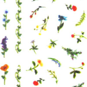 ySizcouponOzzzlCV[y146z| WFlC lCV[ lC lCpi WF V[ fRpi \邾 WFlCV[ ZtlC t[ lCH[