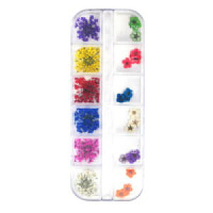 ySizcouponOzzzWFlCWɁ􉟂12ރZbg t[ZbglCp[c lCA[g t[ fR |  lC p[c lCpi p[cZbg W