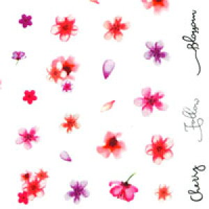 lCV[ ɔ   t  J[WF ƑQ lCA[g lCV[ | lC V[ lCpi fR  t[ ԕ WFlC WFlCpi lC