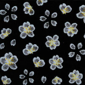 ySizcouponOzzzt[lCV[ ɔ   J[WF  J[𐶂 lCA[g 炵 Of[V lCV[ | lC V[ lCpi t