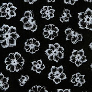 ySizcouponOzzzt[lCV[ ɔ   J[WF  J[𐶂 lCA[g 炵 Of[V lCV[ | lC V[ lCpi t