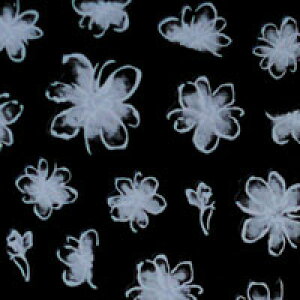 ySizcouponOzzzt[lCV[ ɔ   J[WF  J[𐶂 lCA[g 炵 Of[V lCV[ | lC V[ lCpi t