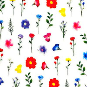 lCV[ t[  FJ[ ɔ   hCt[ s lCA[g lCV[ t[ | WFlC lC V[ lCpi WF ԕ WFlCV