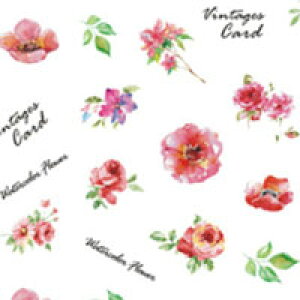 ySizcouponOzzzlCV[yCA246z| lC V[ lCpi fR lCp[c t[lC t[lCV[ t[ WFlC WF WFlCV[ 