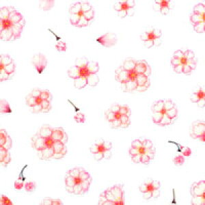 lCV[ t[ t lCV[ ɔ    J[WF ƑQ lCA[g lCV[ | lC V[ lCpi fR  t[ ԕ lCObY W