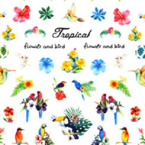 ySizcouponOzzzlCV[yF419z| WFlC lCV[ lC lCpi WF V[ fRpi \邾 WFlCV[ ZtlC t[ lCH[