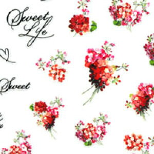 lCV[ t[  AWTC z  ԑ  sN bh | WFlC lCV[ lC lCpi WF V[ fRpi \邾 t[  ԕ t