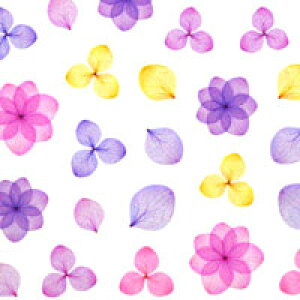 lCV[ z   t[ t  sN | WFlC lC lCpi WF V[ fRpi \邾 WFlCV[ ԕ  t[lCV[ lC