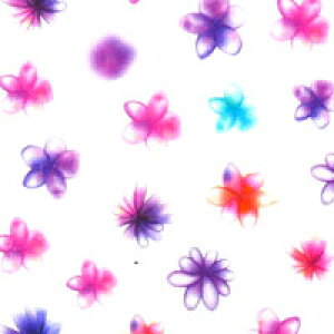 ySizcouponOzzzlCV[ t[   | t WFlC lC lCpi WF V[ fRpi \邾 WFlCV[ lCH[ lCA[g WFl