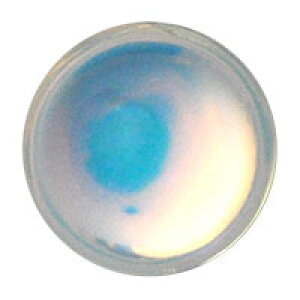 CXg[ Eh Ip[ CG[ u[ [X F V{ NX^ NX^ rW[  WFlC|lC lCpi WF Xg[  ZtlC p