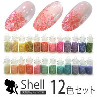 ジェルネイル クラッシュシェル12色セット|ストーンセット パーツ ネイルパーツ セット ジェル ネイル用…