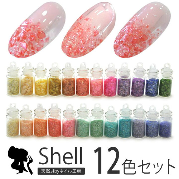 楽天市場 ジェルネイル クラッシュシェル12色セット ストーンセット パーツ ネイルパーツ セット ジェル ネイル用品 ネイル シェル クラッシュシェル シェルストーン シェルフレーク ネイルアート ジェルネイル用品 ジェルネイルアート ネイル工房 ネイルストーン