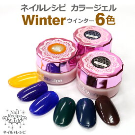 メール便OK【ウインターWinterシリーズ】人気のべっ甲ネイルや大理石ネイルにぴったりのカラー全6色　ネイルレシピ　カラージェル