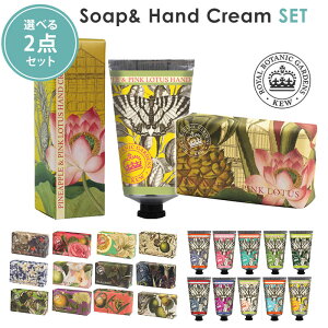 Iׂ2_Zbg CObV\[vJpj[ OWA[VA[o^[\[v{nhN[ L[K[f English Soap Company Kew Gardensy|Cg2{zy1001zyzyDMz