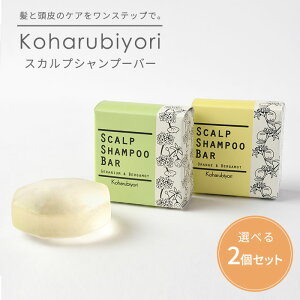 Iׂ2Zbg Koharubiyori XJvVv[o[ 100g XJv Vv[ Ō`  g[ggsv TXeBiu  wAPA Rnry|Cg3{zy1126zyzy