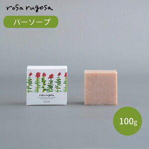 rosa rugosa o[\[v 100g TEST \[v Ό  Ό n}iX o ێ  TST y|Cg5{zy1209zy[։zyDMzyCO×z