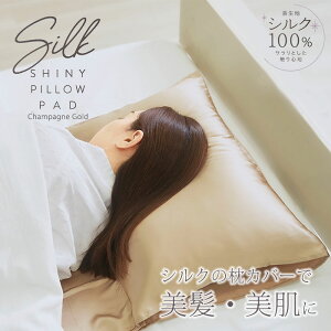 VNVCj[s[pbh VpS[h RWbg VN VN100 Jo[ CPA Opbht AQ ޔ    ₳Jo[ fRe  W TCY 