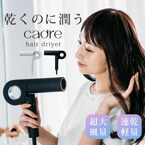 �y�w�A�I�C���t���zcadre hair dryer �h���C���[ �啗�� �}�C�i�X�C�I�� �R���p�N�g ���Z �w�A�h���C���[ ���� �J�h�� �z���C�g �u���b�N ���x���� �y�� ���ԊO�� �T�����d�l �w�A�P�A ���e�Ɠd 