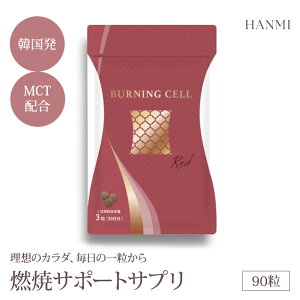 y10OFFN[|zHANMI o[jOZ bh 90 Tvg hanmi n~ BURNINGCELL RED AR MCTIC EAAz HT|[g Nێ ^K T|[g T|[gTv 