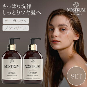 y500~OFFN[|z2_Zbg mXg Vv[ RfBVi[ NOSTRUM fC[ BC 300ml+300ml xKbgJf I[KjbN mVR  ێ  n q N