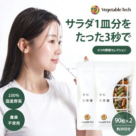 【15％OFFクーポン】新作2個セット 飲む粉野菜 サプリ 90粒入 6つの野菜セレクション サラダ 1皿分 野菜不足 国産 無添加 農薬不使用 医学博士監修 モリンガ 粒 カプセル 野菜パウダー ベジタブル サプリメント 妊婦 赤ちゃん 健康【メール便送料無料】【DM】【海外×】