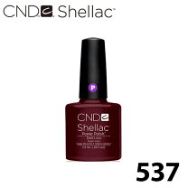 楽天市場】シェラック ネイル セットの通販 