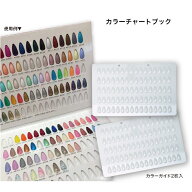 【3,980円以上送料無料】【公式】カラーチャートブック ネイル カラージェル ガイド サンプル トップコー…