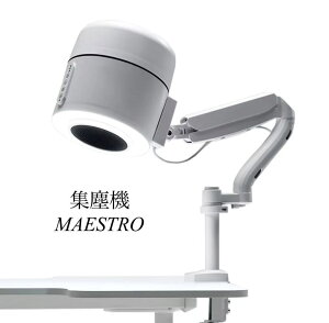 yzWo@ MAESTRO lC \ i`tB[hTvC