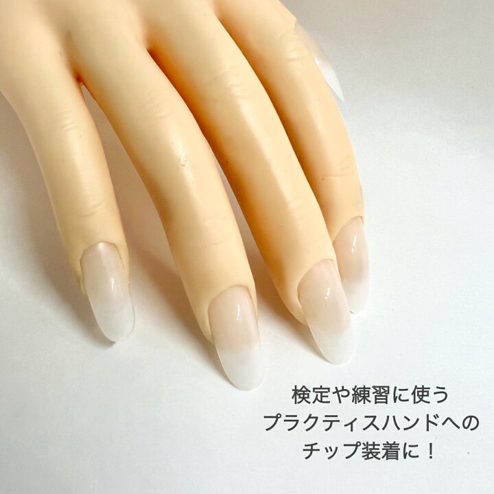 楽天市場 公式 ネイルチップグミ チップスタンド チップ デザインチップ ディスプレイ つけ爪 プラクティスハンド ネイル 検定 ネイリスト 練習 クリアタイプ つけはずし 接着グミ 接着ジェル 粘着ジェル 粘着グミ 自爪 セルフネイル ナチュラルフィールド Nfs