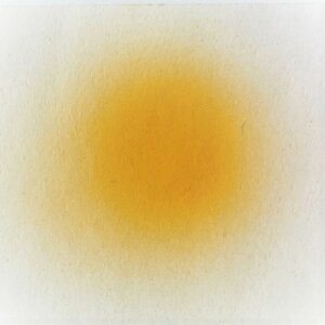 y3,980~ȏ㑗zyzSbz GA[uV S65F }bgJ[i10Fj GA[uVJ[ J[Lbh lCA[g lCfUC A[g lCf| i`tB[