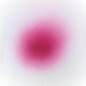 y3,980~ȏ㑗zyzSbz GA[uV S65F uCgJ[i9Fj GA[uVJ[ J[Lbh lCA[g lCfUC A[g lCf| i`tB[