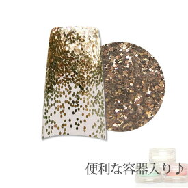 【メール便可】容器入り グリッター シャンパン 0.5mm 1g