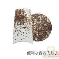 容器入り グリッター ブロンズ 0.5mm 1g (メール便でも可)